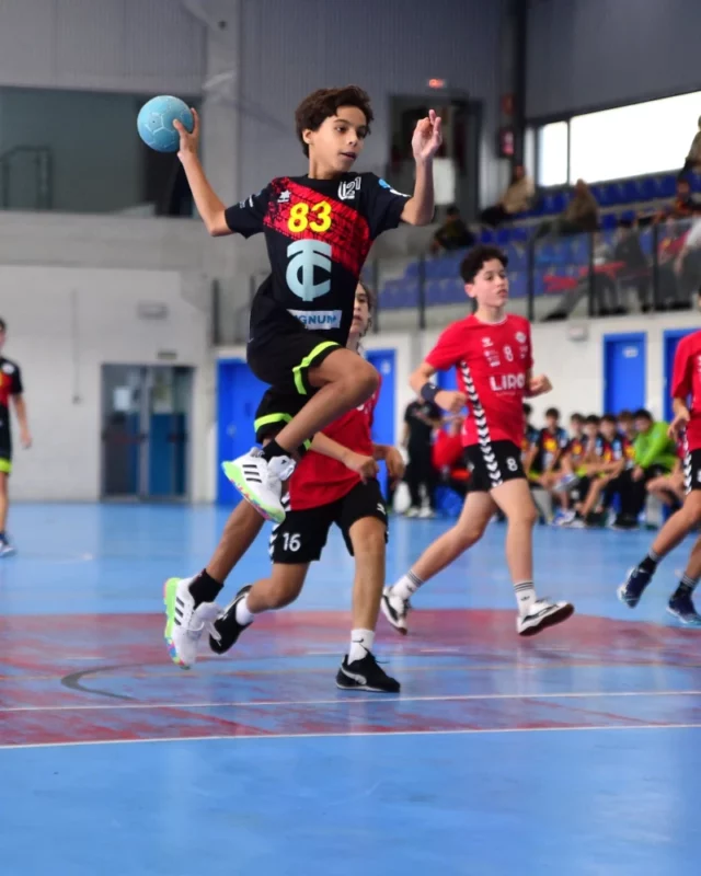 Resumo Xornada 29/30 novembro 2025