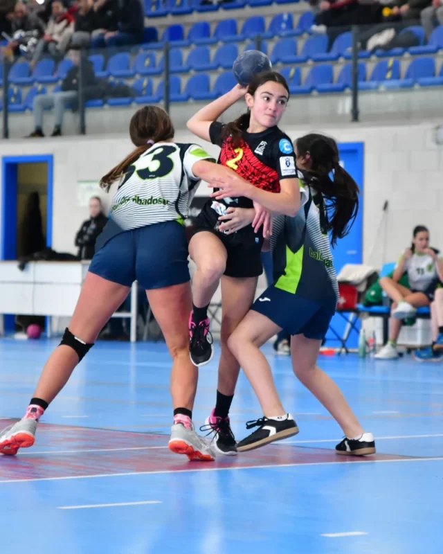 Resumo Xornada 8/9 novembro 2025