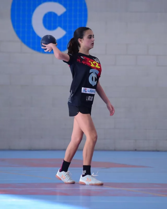 Resumo Xornada 10/11 xaneiro 2026