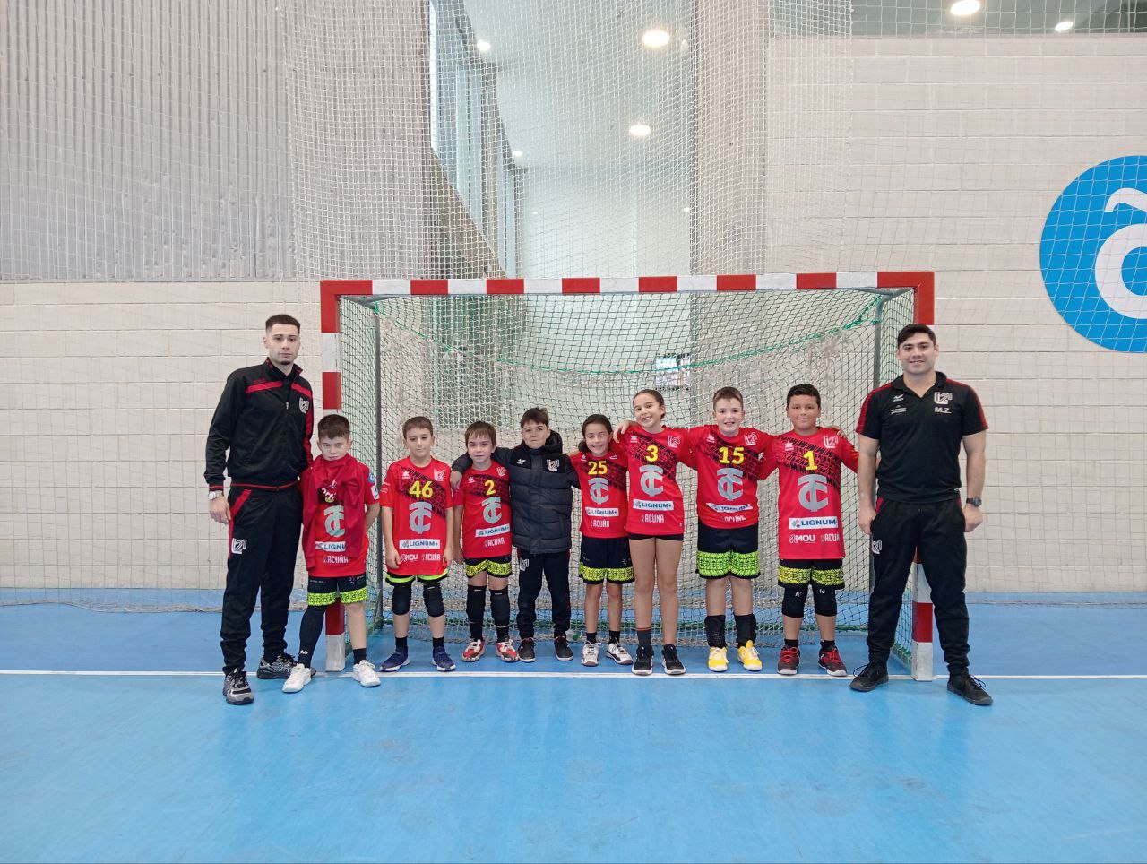 Bm Linea21 Arealonga Clinica Veterinaria Vs Insplaber Xiria