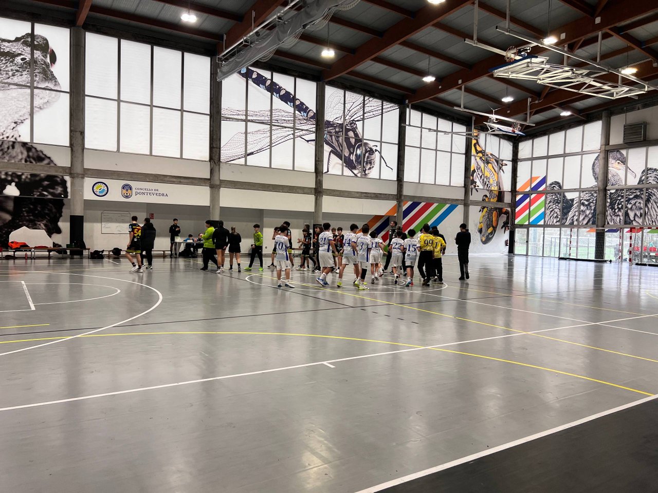 Club Cisne Colegio Los Sauces Vs Bm Linea21 Restaurante Cho