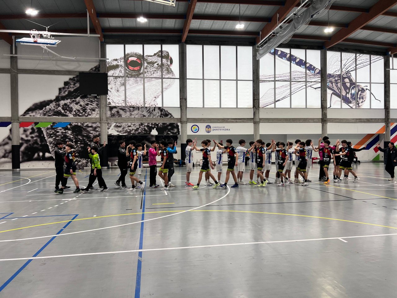 Club Cisne Colegio Los Sauces Vs Bm Linea21 Reformas Coruña Sl 2021